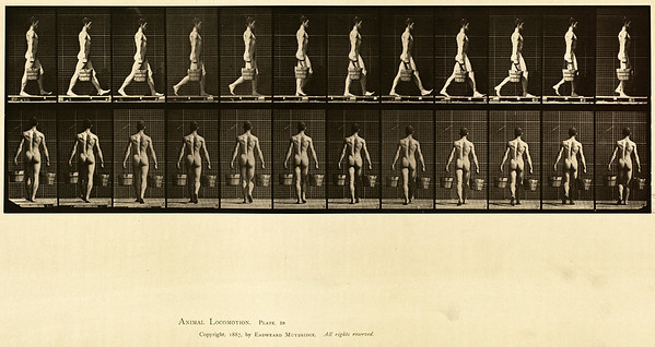 12 - Vol 1 - Plate 29